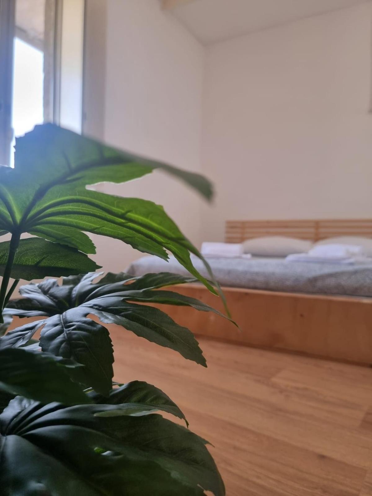 Yourban Loft カターニア エクステリア 写真
